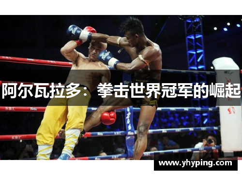 阿尔瓦拉多：拳击世界冠军的崛起